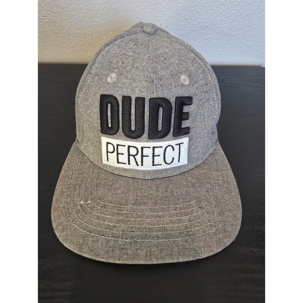 Dude Perfect 3D Logo‎ Baseball hat in Gray